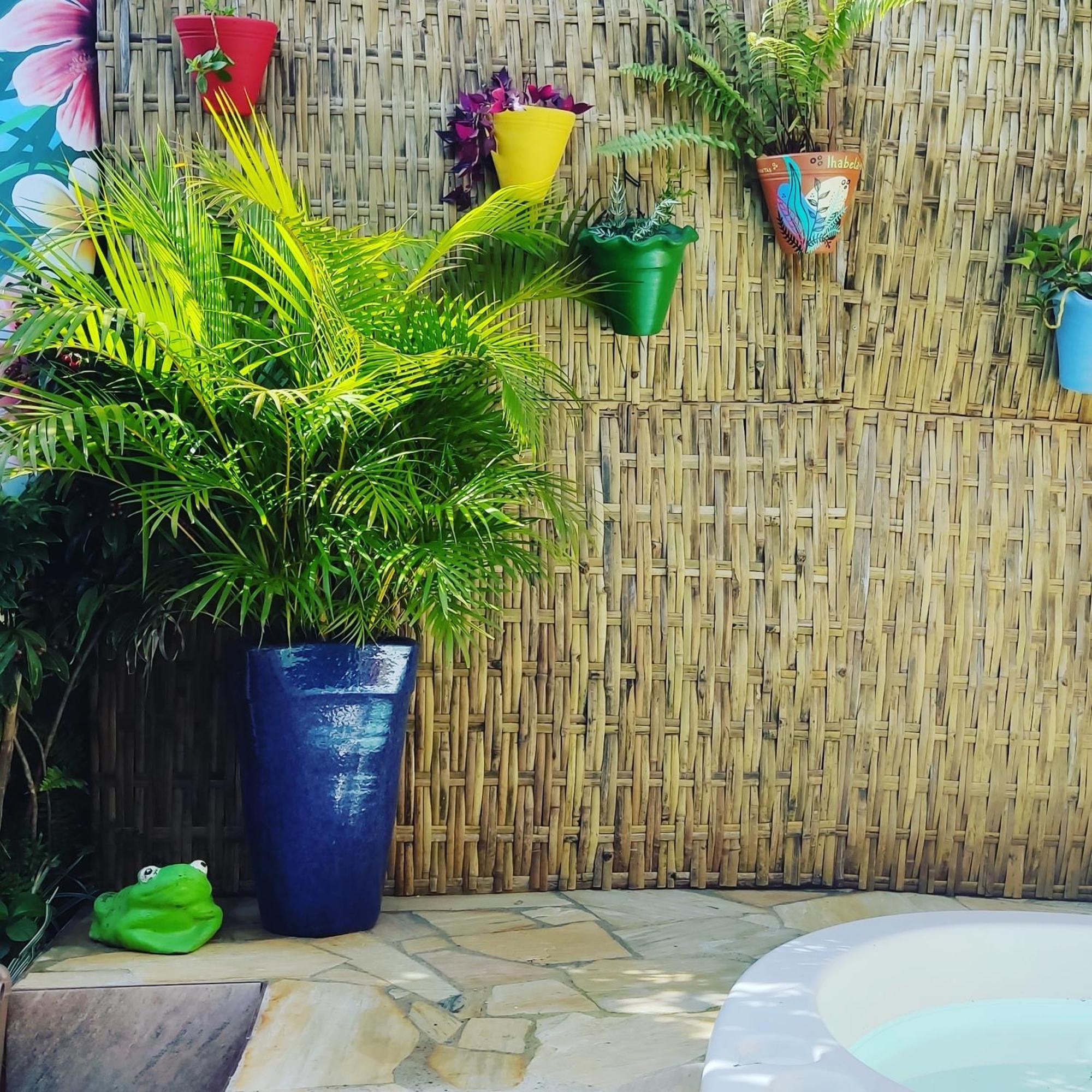 Recanto Toca Das Plantas De Ilhabela II Εξωτερικό φωτογραφία