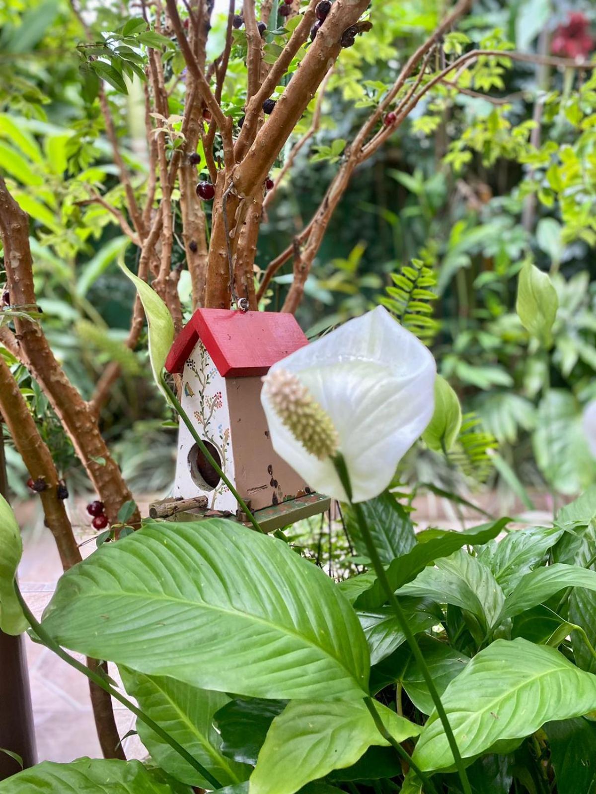 Recanto Toca Das Plantas De Ilhabela II Δωμάτιο φωτογραφία